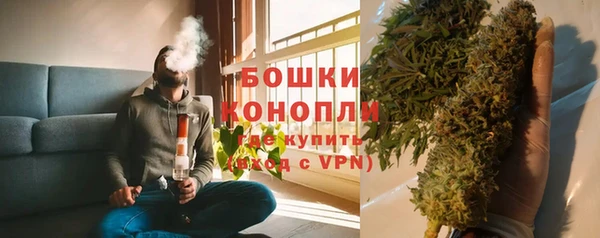 apvp Гусев