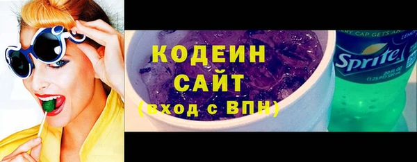 apvp Гусев