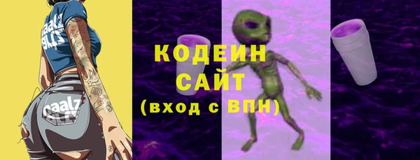 apvp Гусев