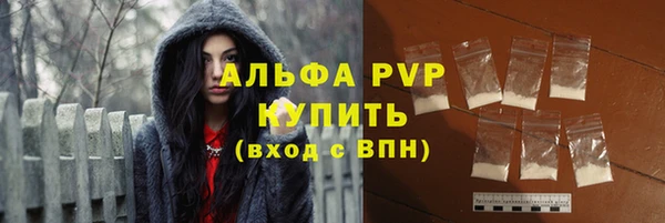 apvp Гусев