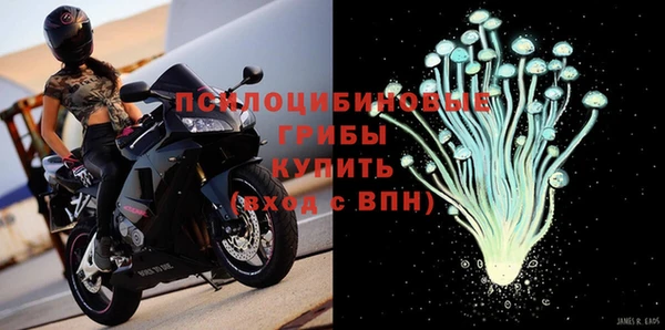 apvp Гусев