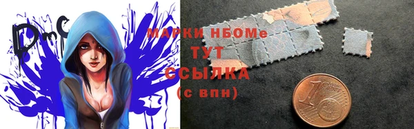 apvp Гусев