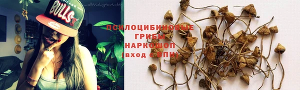 apvp Гусев