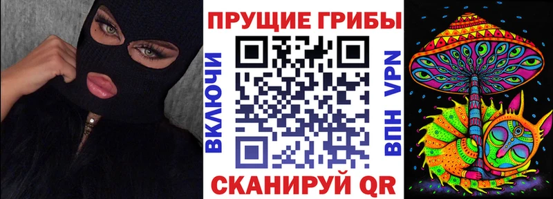 Галлюциногенные грибы Cubensis  Купить закладки  Каменка 